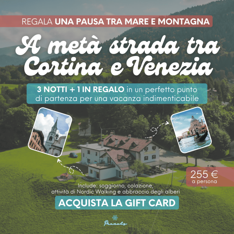 A METÀ STRADA TRA CORTINA E VENEZIA – Gift Card
